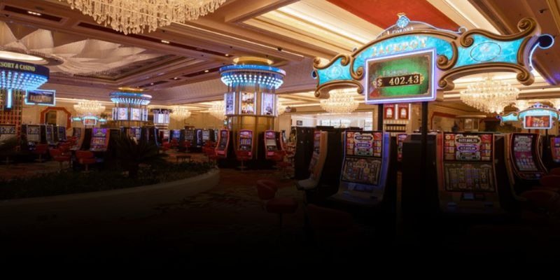 Cassino ao Vivo Brasil – Jogos com Dealers Reais